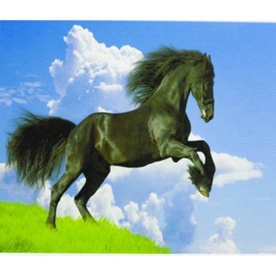 Картина по номерам "Чёрный конь на дыбах " 40*50см,крас.-акрил,кисть-3 (5017)
