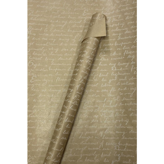 Бумага упаковочная крафт-двосторонний 1000х700  10 листов (Пт 10070-07)