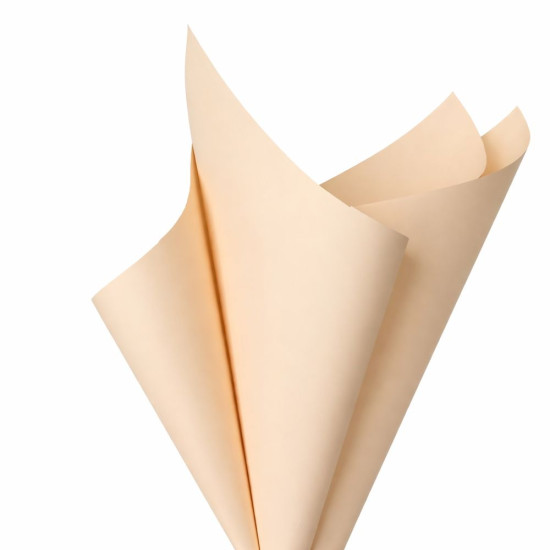 Плівка матова "Моно" 60 мкр, 57 х 57см  20 аркушів (j00325 -243)