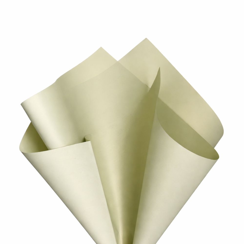 Плівка матова "Моно" 60 мкр, 57 х 57см  20 аркушів Unison (j00325 -81)