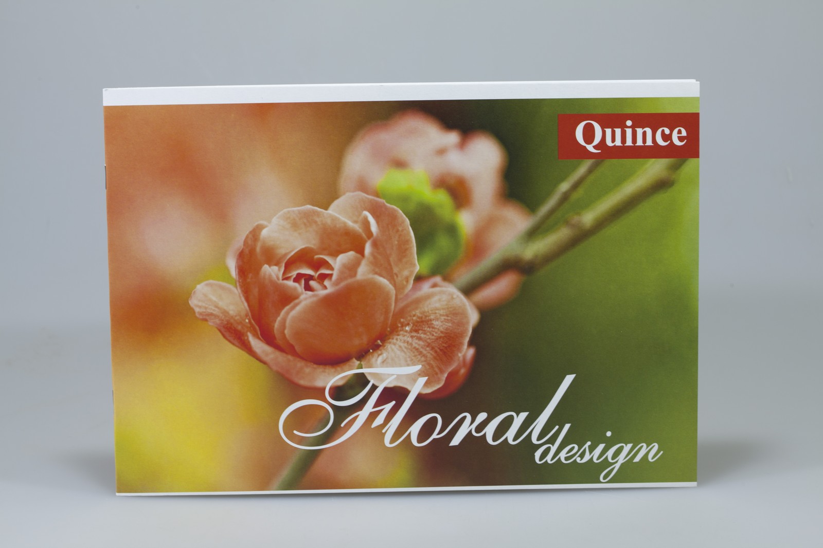 Альбомы для рисования 12л скоба (AA4212)