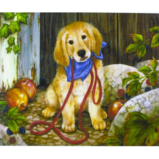 Картина по номерам "Рыжий пёсик" 40*50см,крас.-акрил,кисть-3шт.(1*30) (5088)