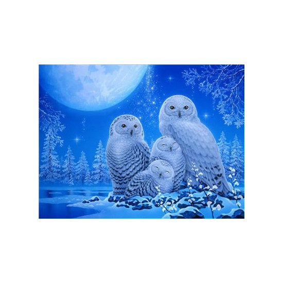 Картина по номерам "Полярные совушки" 40*50см,крас.-акрил,кисть-3шт. (RA3838)