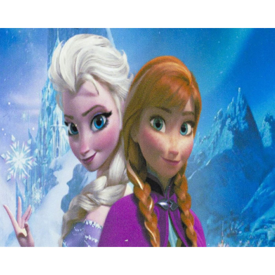 Алмазная мозаика по номерам 20*30см "FZ"L  в рулоне (20450-JS)