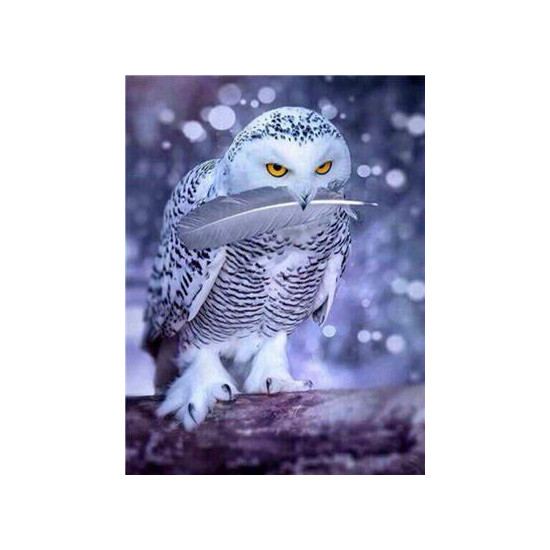 Картина по номерам "Полярная сова" 40*50см,крас.-акрил,кисть-3шт. (RA3835)