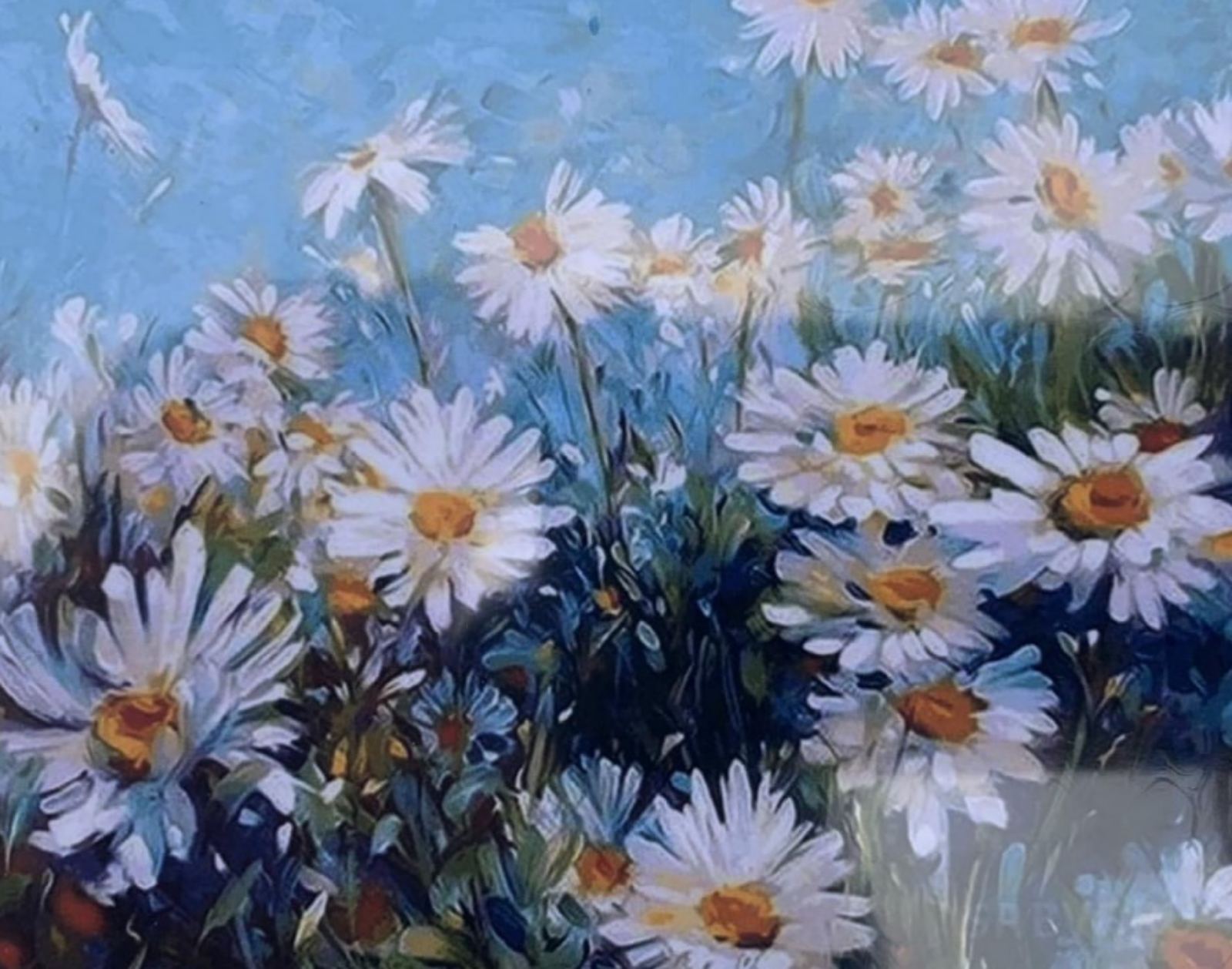 Картина по номерам 30*40см "Ромашки" OPP (холст на раме краск. кисти. ) (90EKTL_O)