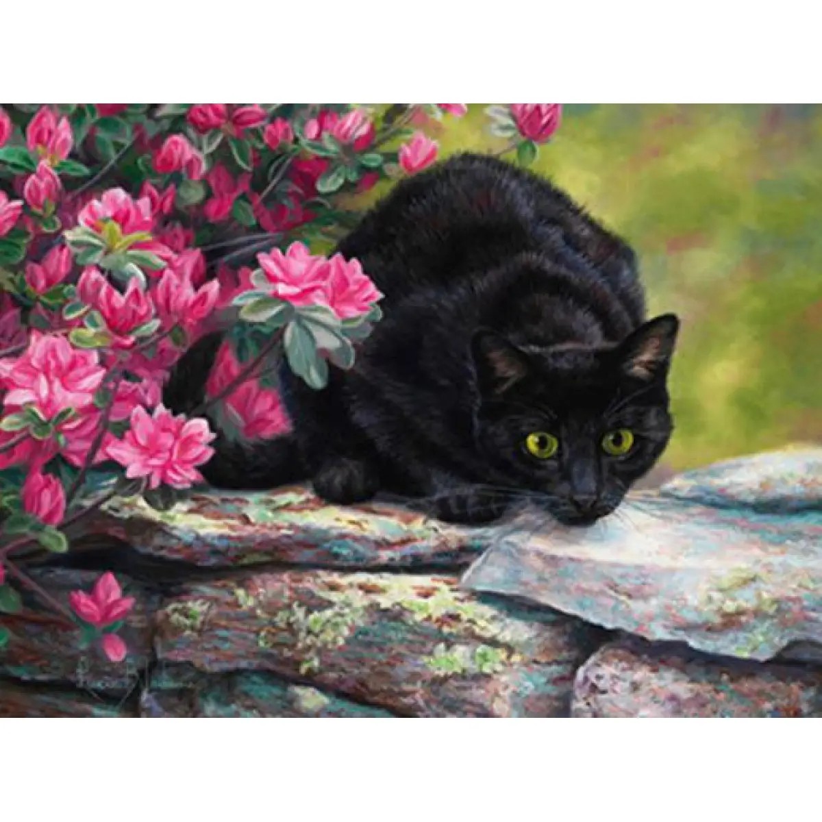 Картина по номерам "Черный кот" 40*50см,крас.-акрил,кисть-3шт. (6399EOTG_B)