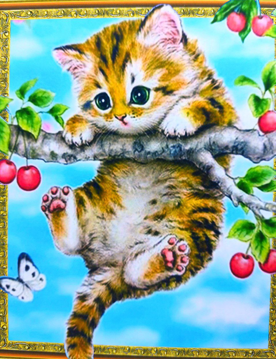Алмазна мозаїка  5D за номерами 40*50см  "Кошеня на гілці" карт уп. (Полотно на рамі камені) (30761)