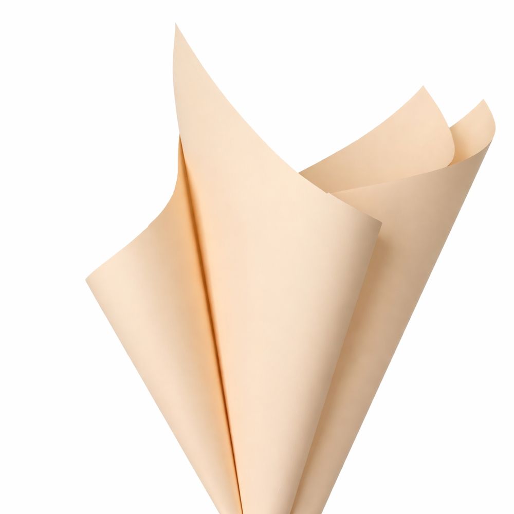 Пленка матовая "Моно" 60 мкр, 57 х 57см  20 листов (j00325 -243)