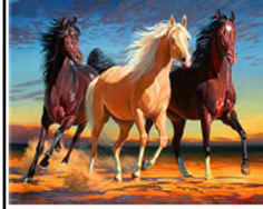Картина за номерами "Коні" 40 * 50см, крас.-акрил, кисть-3шт. (8423)