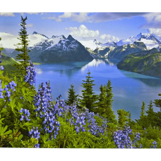 Картина по номерам "Норвегия" 40*50см,крас.-акрил,кисть-3шт. (3320RA_B)