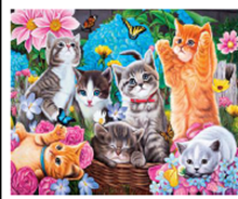 Картина за номерами "Кошенята" 40 * 50см, крас.-акрил, кисть-3шт. (5086)