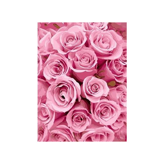 Картина по номерам "Розовые розы" 40*50см,крас.-акрил,кисть-3шт. (9276)