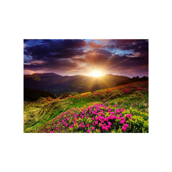Картина за номерами "Захід в горах" 40 * 50см, крас.-акрил, кисть-3шт. (RA3667)