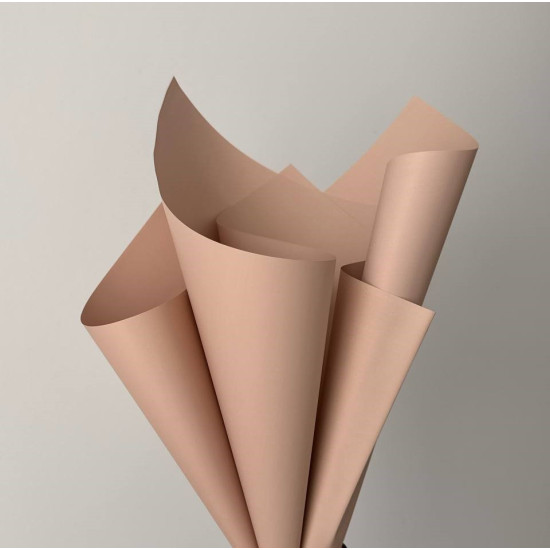 Плівка матова "Моно" 60 мкр, 58 х 58см  20 аркушів (j00334 -30)