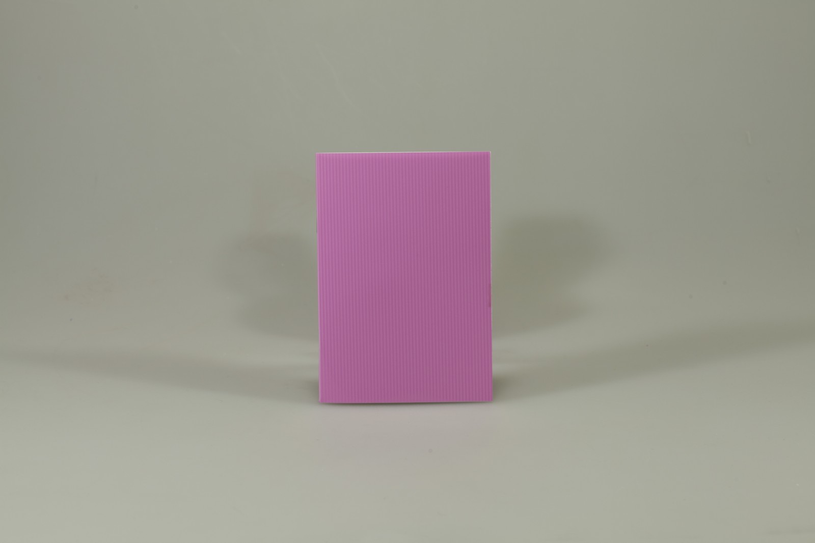 Записная книга ЗК6536-П01 (ЗК6536-П01)