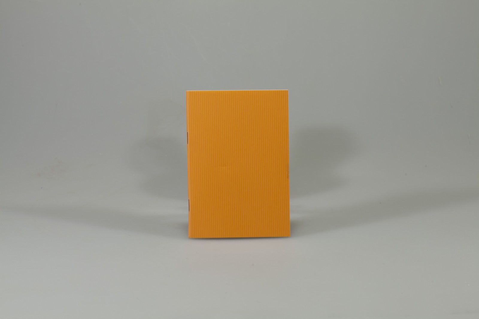 Записная книга ЗК6536-П01 (ЗК6536-П01)