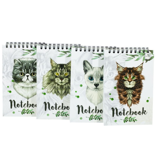 Блокнот А-6 "Коты" 80 страниц верхняя пружина, клетка (Бк 080вп)