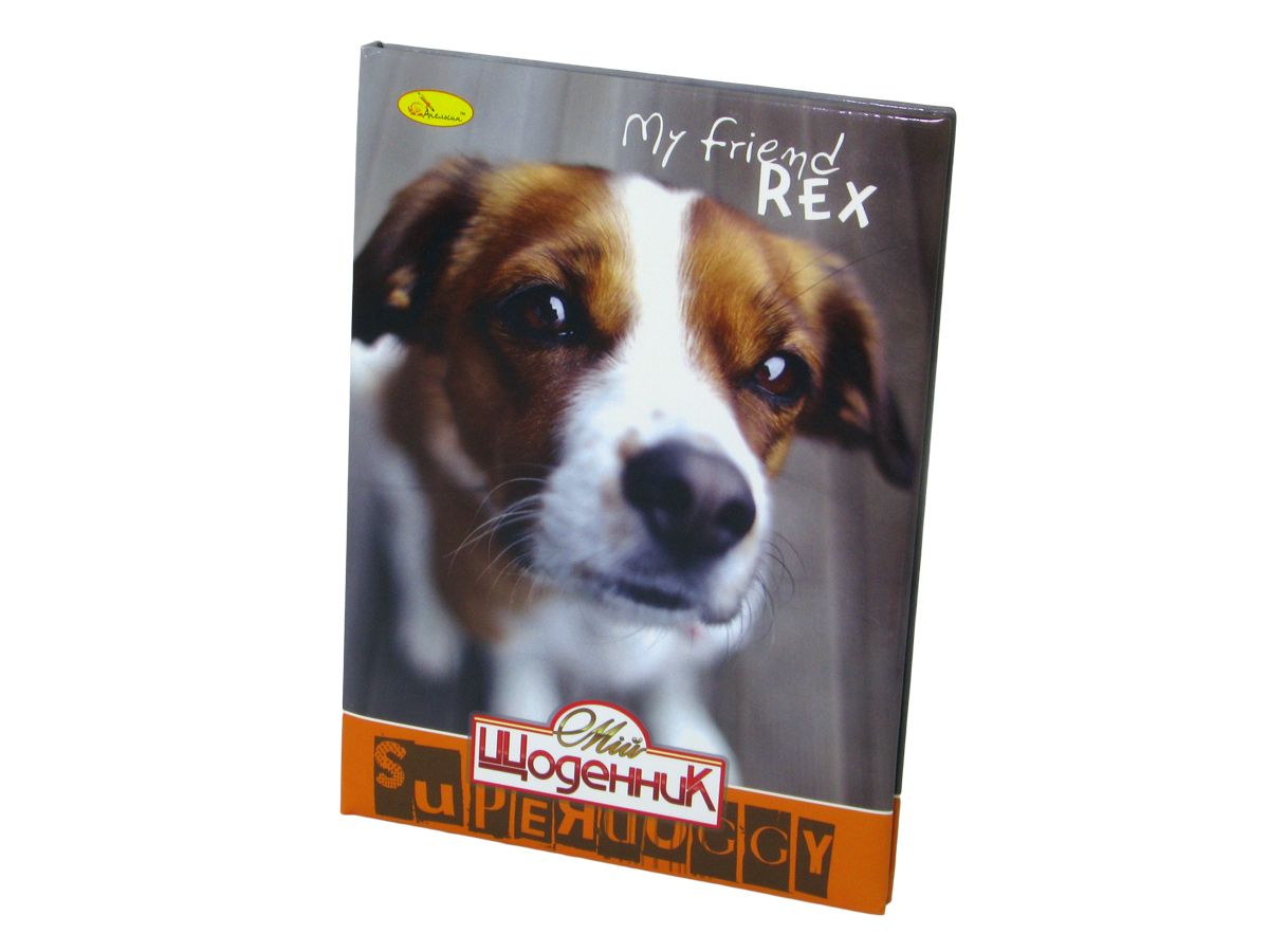 Дневник школьный "сендвич" (Щ-С-В5-96)