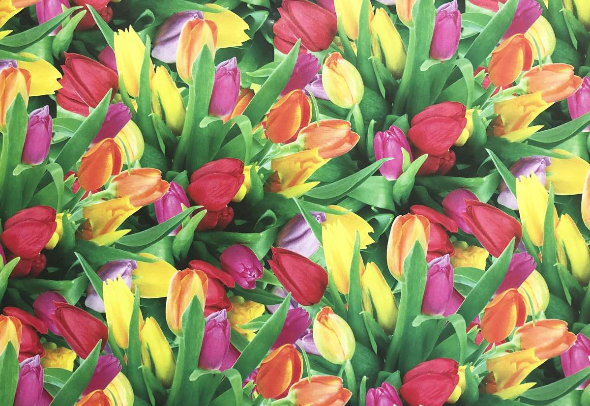 Папір пакувальний крейдований 80г 10 аркушів  100 х 70см Різнокольоровий Unison (PVM10-49)