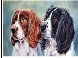 Картина по номерам "Два пушистых друга" 40*50см,крас.-акрил,кисть-3шт. (3187)