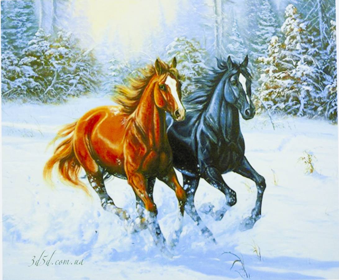 Картина за номерами "Коні в зимовому лісі" 40 * 50см, крас.-акрил, кисть-3шт. (5446)