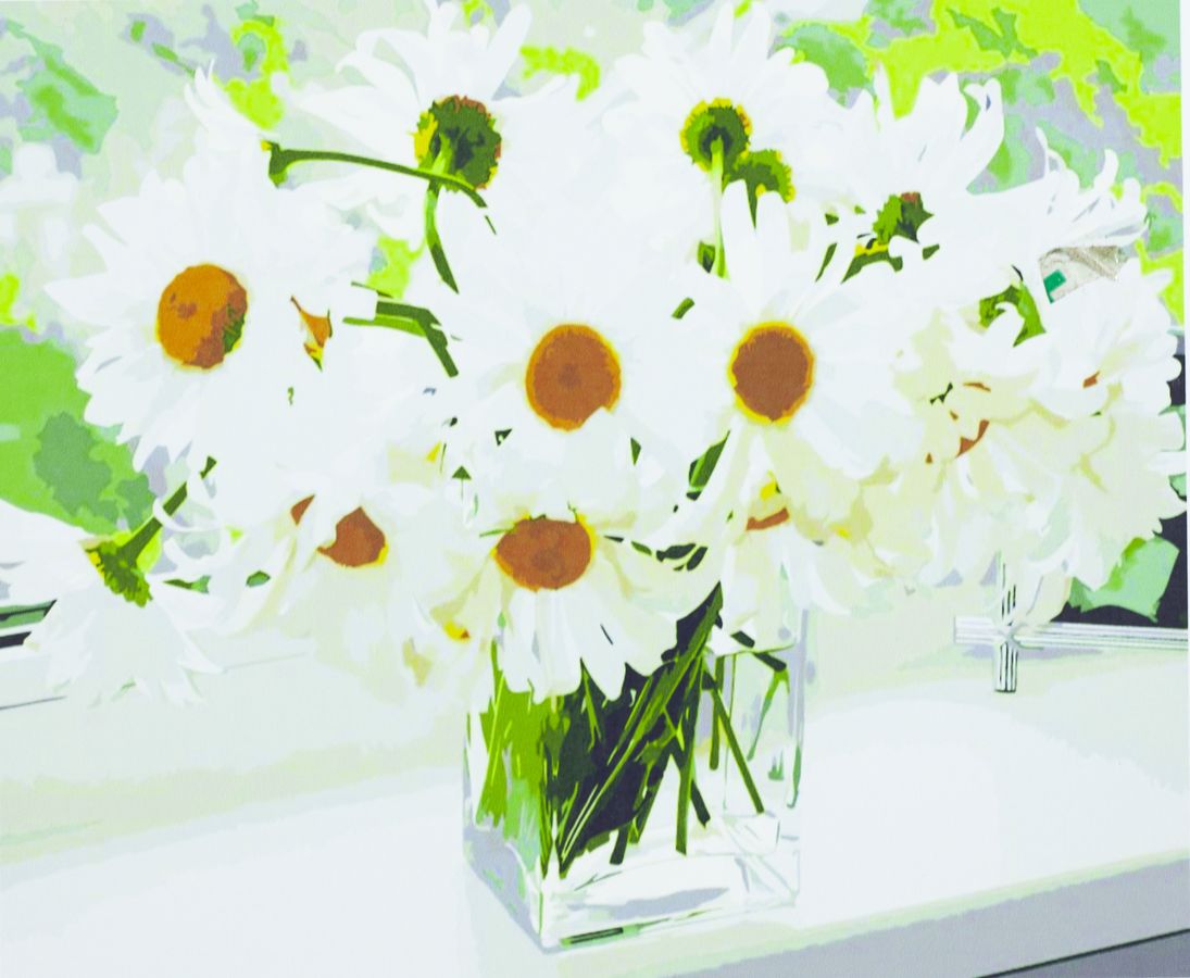 Картина по номерам "Букет ромашек" 40*50см,крас.-акрил,кисть-3шт. 1974 (1974)