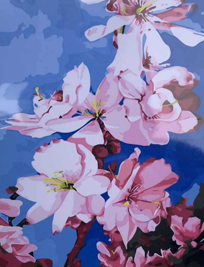 Картина по номерам "Цветы" 40*50см, OPP , крас.-акрил,кисть-3шт. (5066RA_O)