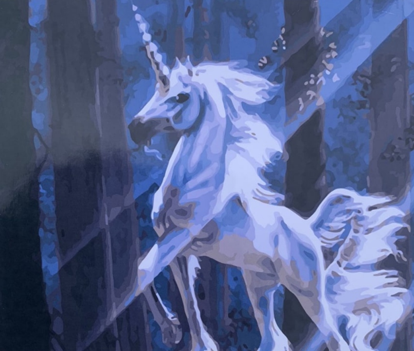 Картина по номерам "Единорог" 40*50см,крас.-акрил,кисть-3шт. (5065RA_B)