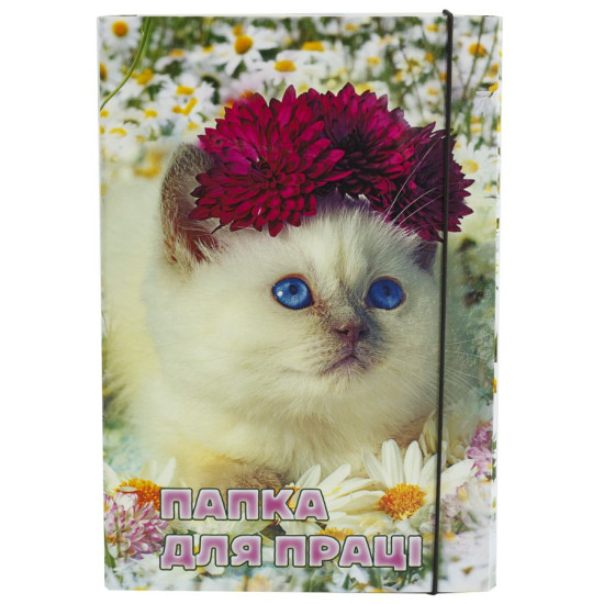 Папка для труда на резинке Разноцветный Unison (Пк 061)