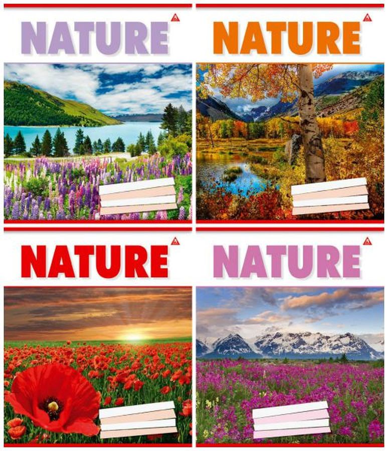 Тетрадь 48л в линию Unison (Тр 007а)