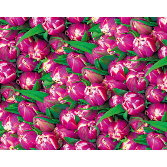 Бумага упаковочная мелованная 80г 10 листов - 100 х 70см Разноцветный Unison (PVM10-215)