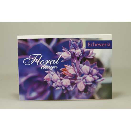 Альбомы для рисования 12л скоба (AA4212)