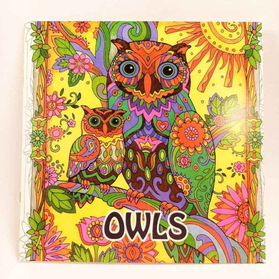 Раскраска - антистресс "Чудесный лес" 12 листов, 24 картинки, 25 х 25см, 120г/м² Unison (687-8)