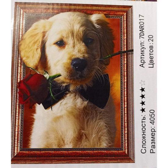 Алмазная мозаика 5D   40 х 50см "Щенок с розой" Разноцветный Unison (7DAR017)