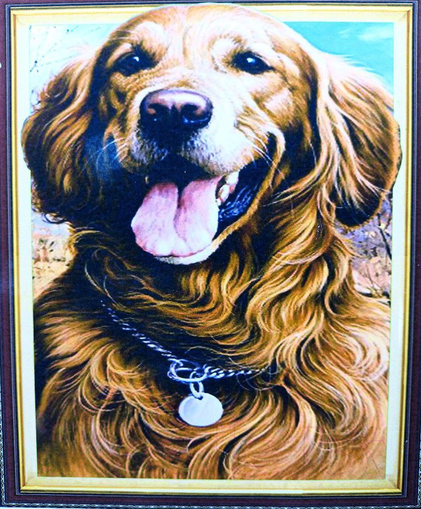 Алмазная мозаика 5D по номерам 40 х 50см "Рыжий пес" Разноцветный Unison (30515)