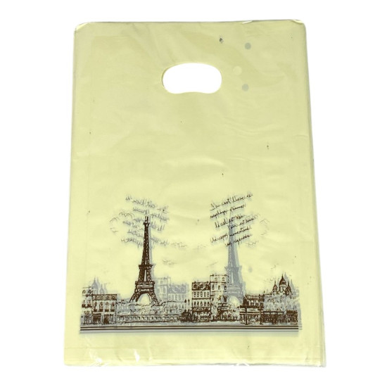 Подарочный пакет, полиэтиленовый 20 х 25см, 24шт/уп (10700-18)