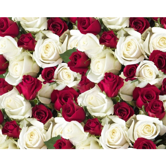 Бумага упаковочная мелованная 80г 10 листов  100 х 70см Разноцветный Unison (PVM10-302)