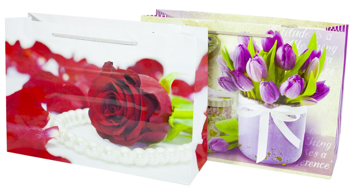 Пакет подарочный женская серия 150гр, 36 х 23 х 10см (12шт/уп) Unison (PVM362310W)