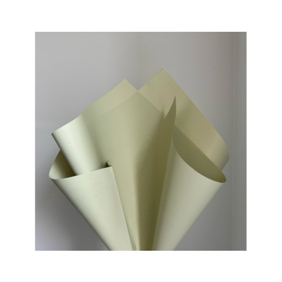 Пленка матовая "Моно" 60 мкр, 57 х 57см  20 листов (j00325 -84)