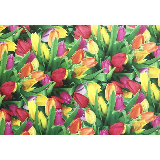 Бумага упаковочная мелованная 80г 10 листов  100 х 70см Разноцветный Unison (PVM10-49)