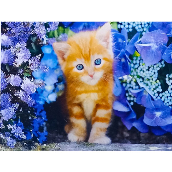 Алмазная мозаика 30 х 40см "Котенок" рулон в PVC (без подрамника) Разноцветный Unison (61209_O GLD)