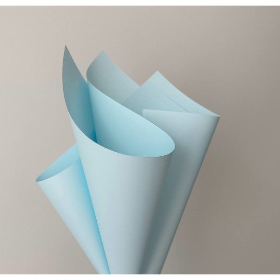 Пленка матовая "Моно" 60 мкр, 58 х 58см  20 листов (j00325-131)