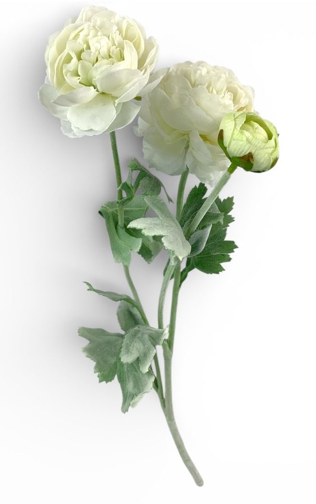 Ветка ранункулюса азийского, 50 см, молочная Unison (c30555-2)