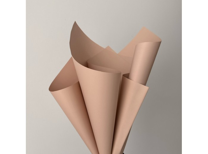 Пленка матовая "Моно" 60 мкр, 58 х 58см - 20 листов (j00334 -01)