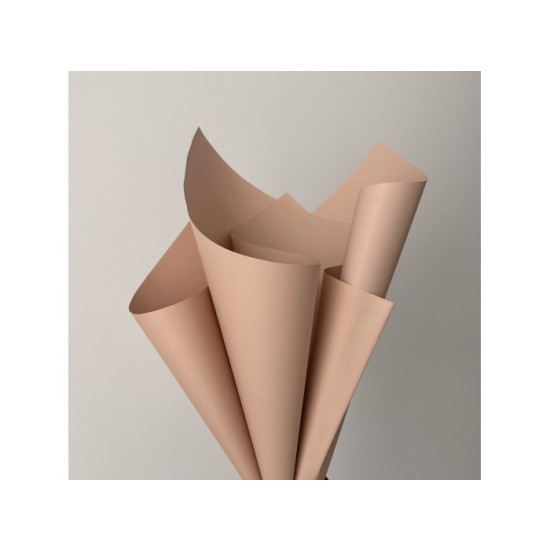 Пленка матовая "Моно" 60 мкр, 58 х 58см - 20 листов (j00334 -01)