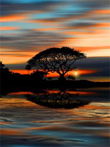 Картина по номерам "Закат" 40*50см,крас.-акрил,кисть-3шт (RA30345)