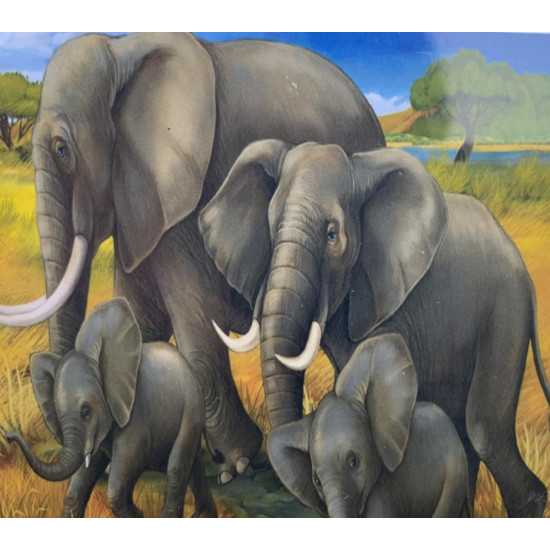 Картина по номерам 30*40см "Семья слонов" OPP (холст на раме краск. кисти. ) (1467EKTL_O)