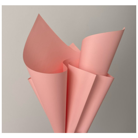 Пленка матовая "Моно" 60 мкр, 58 х 58см  20 листов Розовый (j00334 -26/ j00649-053)