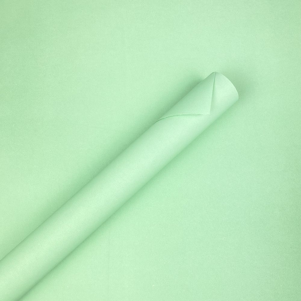 Бумага упаковочная крафт-двосторонний 0,7 х 7м Зеленый Unison (Пт 472.13)